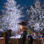 SPARK LIGHT® LED+ Lyskæde, kold hvid, statisk lys, sort ledning, L: 20 m Kold hvid LED, statisk lys