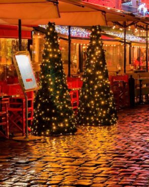 To juletræer med små varme hvide LED-lys placeret foran en café eller restaurant på en regnvåd brostensbelagt gade. Træerne er en del af en udendørs juledekoration, og de skaber en hyggelig, festlig stemning med deres lys, som reflekteres smukt i de våde brosten. I baggrunden ses caféens oplyste udstillingsvinduer og parasoller med mere julebelysning.