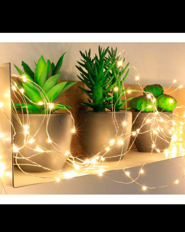 micro led der dækker en træhylde med grønne planter