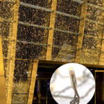 JOYLIGHT· led, indendørs lysgardin, varm hvid, statisk lys, 230V 2m x 3m Varm hvid LED, statisk lys