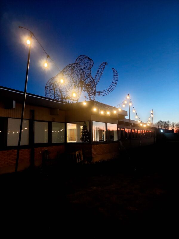 Festoon-lyskæde 10m, startpakke varm hvid LED