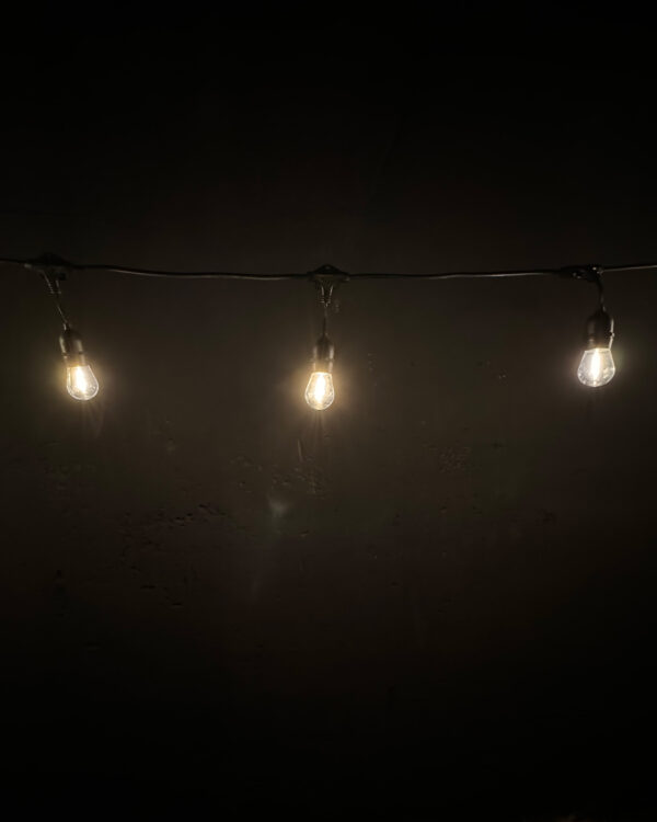 Udendørs festoon-lyskæde med klare LED-pærer, spredt på sort underlag. De varme lys skaber en hyggelig stemning og dekorativ belysning.