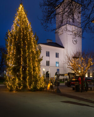 Stort juletræ oplyst med gule lys foran hvid bygning med klokketårn - aftenstemning med mindre træer og udstyr i baggrunden.