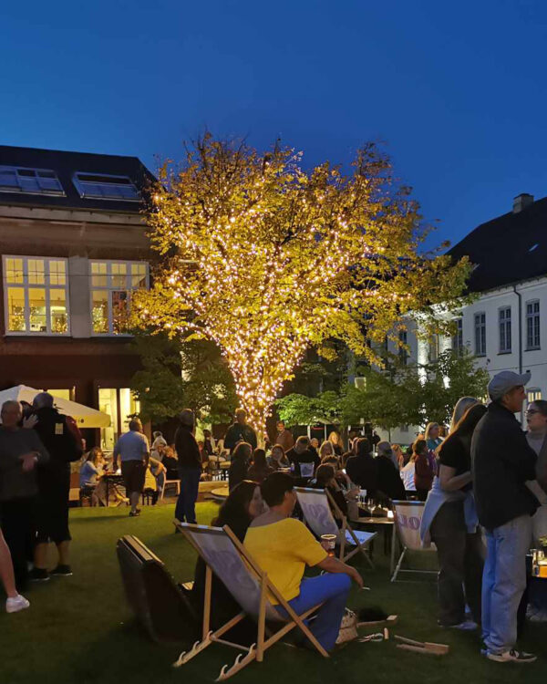 Stort træ i bymidten belyst af lyskæder med varmt hvidt lys.