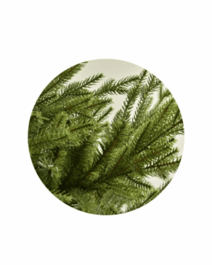 Nærbillede af Alaska juletræ med grene af PE og PVC.