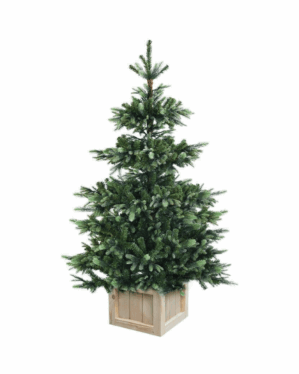 Meget naturtro kunstigt juletræ der står i en trækasse som juletræsfod. juletræets grene er lavet i et PE og PVC mix.