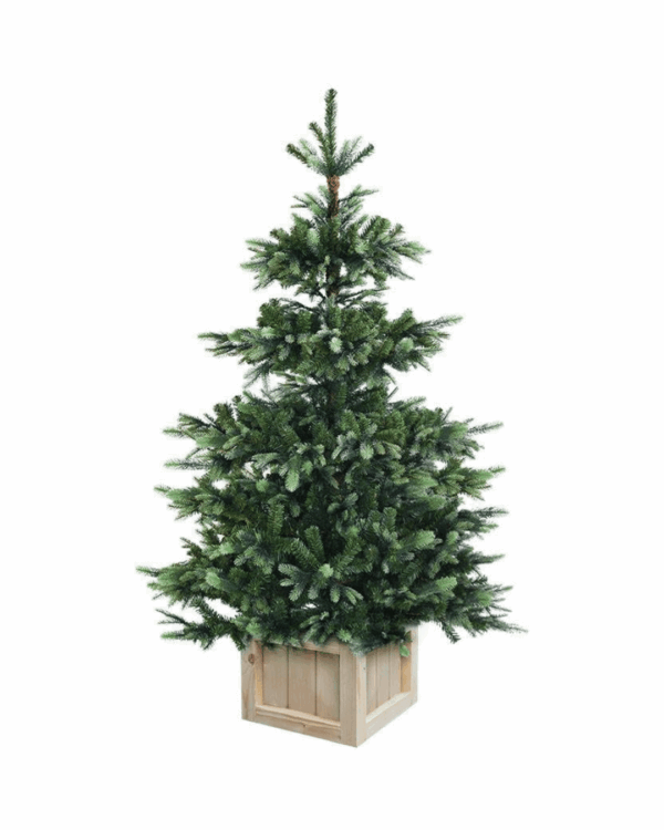 Meget naturtro kunstigt juletræ der står i en trækasse som juletræsfod. juletræets grene er lavet i et PE og PVC mix.