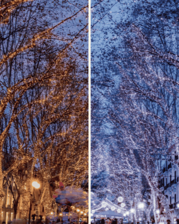 Dual color lyskæde lyser træer op i både varm og kold hvid - skaber stemningsfuld kontrast i gadebelysningen.