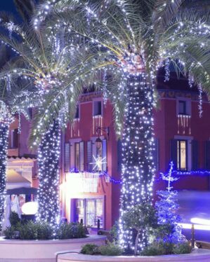 Palmer smukt oplyst med hvide LED-lyskæder i byrum foran røde bygninger. Skaber magisk stemning med glitrende lysdekoration, perfekt til festlige events, juleudsmykning eller helårsbydressing.