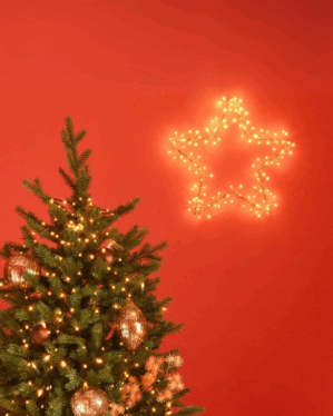 Pyntet juletræ og lysende julestjerne