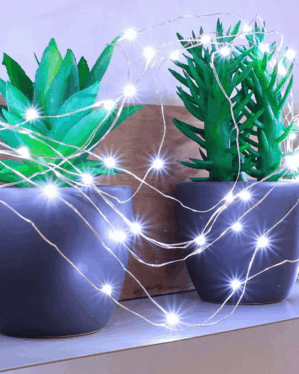 Potteplanter med micro LED lyskæde med hvidt lys