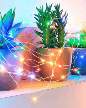 Farverig micro LED lyskæde og potteplanter