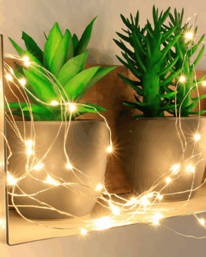 Micro LED lyskæde dekoration på potteplanter