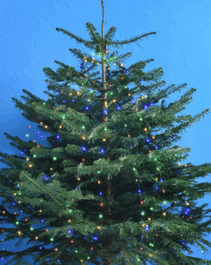 Juletræ med multifarvet micro LED lysgardin