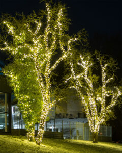 Lyskæde med 3000 kelvin