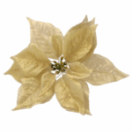 12 x Guld Ponsettia blomst med klemme, H: 17cm x L: 23cm x B: 23cm 