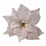 12 x Hvid Ponsettia blomst med klemme, H: 17cm x L: 23cm x B: 23cm Hvid