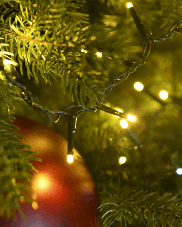 Nærbillede af LED lyskæde på et juletræ