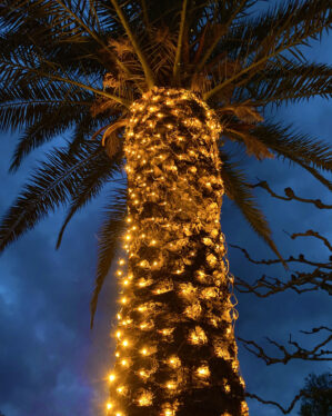 Lysnet med varmt hvidt lys