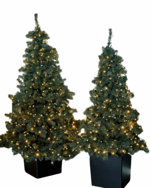 Juletræer i potte med lyskæder