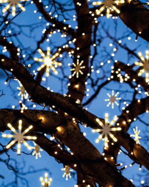 Stort træ med lysende stjerner med animation