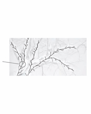 Billede af en dekorativ twig-garland med indbyggede LED-lys, vist som forgrenede mørke grene på lys baggrund. Ideel til professionel julebelysning og udsmykning.