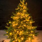 Exclusive m. varm hvid Jada light PRO lyskæde, 150cm, PVC 1.5 m