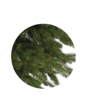 Nærbillede af PE grene