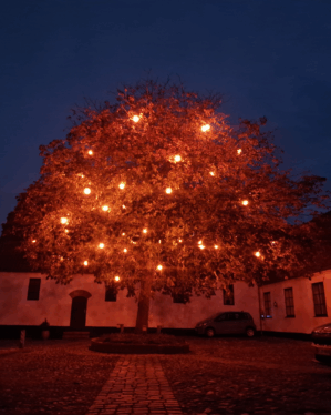 Stort træ med LED flammekugler i trækronen.
