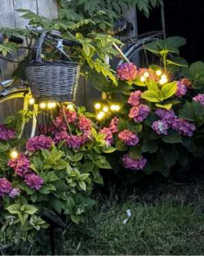 Hortensiabed med solcellelys