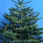 Lysgardin til juletræ - 1,8 m med 432 multicolor LED og 8 funktioner Multicolor LED, statisk lys