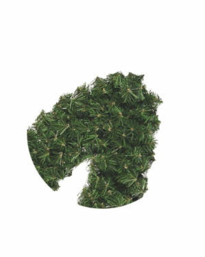 Nærbillede af stjerne med gran